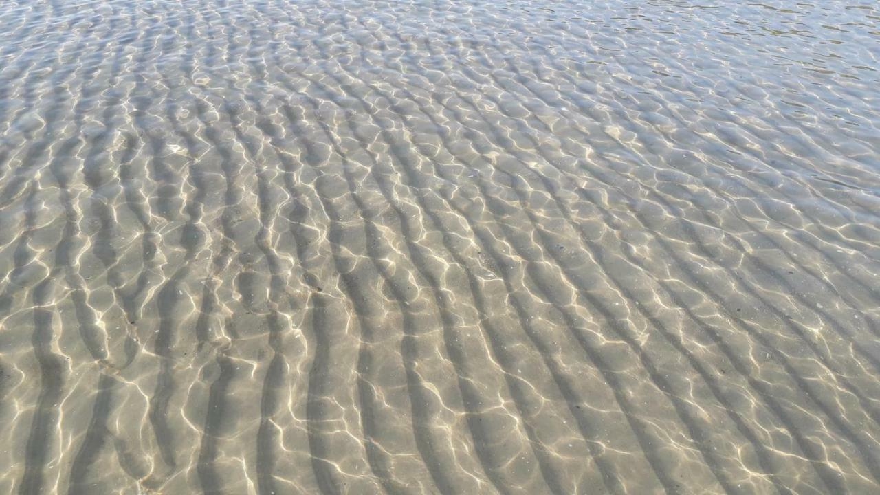 Ankerplatz Am Suedstrand, Fewo Mit 2 Schlafzimmer Und Eigenen Strandkorb ビンツ エクステリア 写真